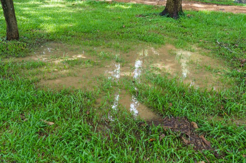 Lawn with Proper Drainage